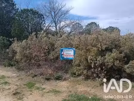 vente terrain à ortaffa (66560) : à vendre / 7442m² ortaffa