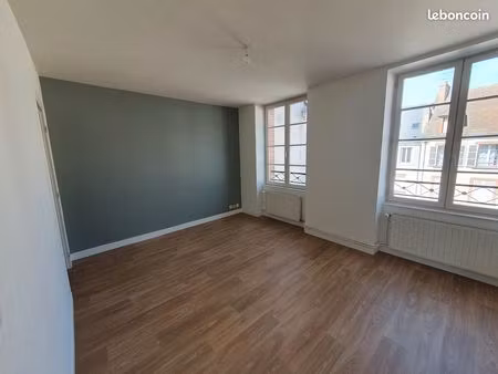 grand appartement t2 40 m2 environ - bord de loire