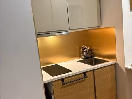 studio 1 pièce 18 m²