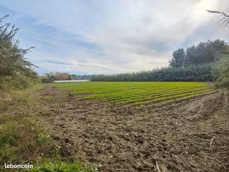 terrain 1 hectare a' louer