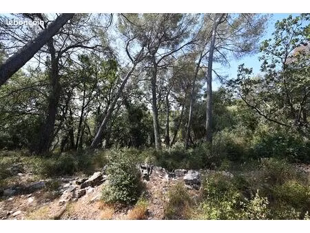 terrain roquefort-les-pins - 2 500 m²