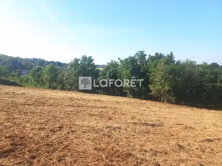 terrain salt en donzy 3970 m2