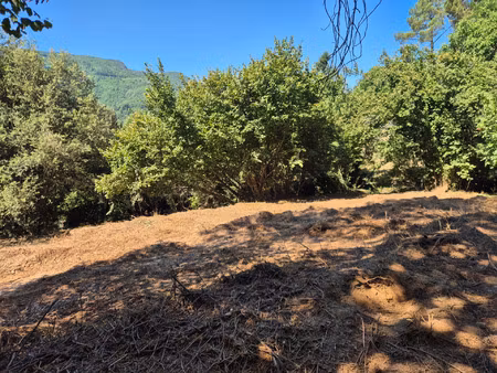 terrain à vendre le collet de deze (48)
