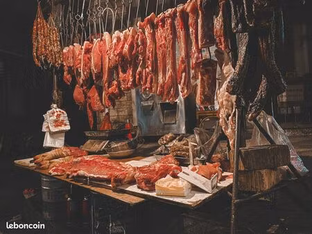 boucherie  charcuterie  traiteur 85 m² lure