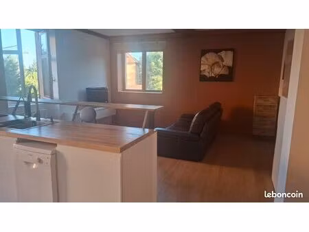 joli appartement au coeur des monts d'or
