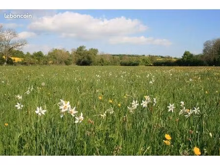 cherche terrain agricole ou prairie