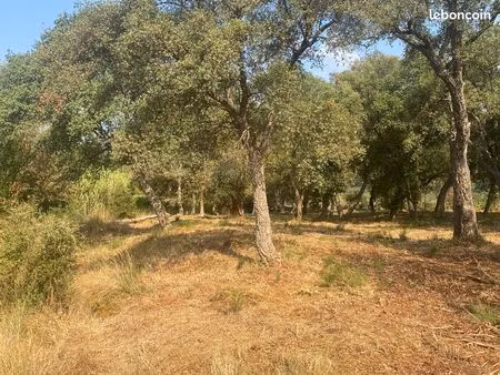 vend terrain agricole 6000 mètres carrés bordure route des maures non constructible eau él