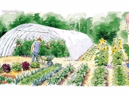 jeune maraîcher recherche terrain agricole