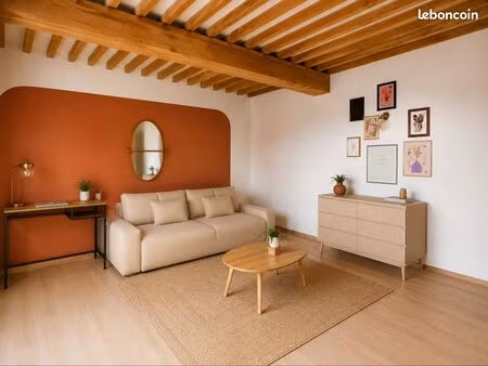 superbe appartement avec mezzanine refait à neuf
