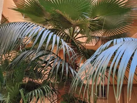 boulouris vente appartement avec garage à deux pas de la plage