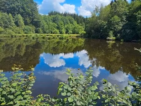 bel étang et sa forêt