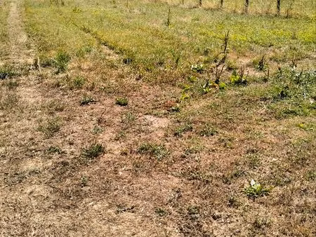 terrain non constructible
