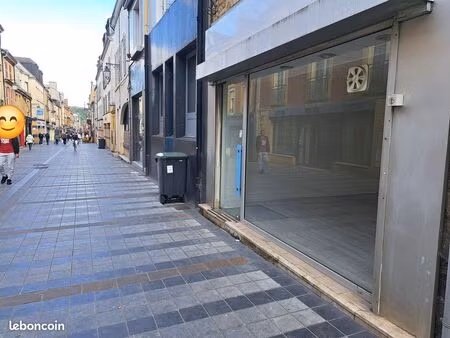 local professionnel / commercial charleville centre