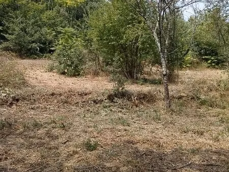 terrain