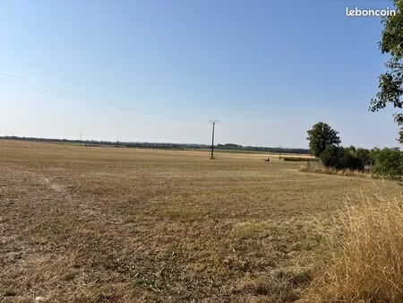 terrain à bâtir 11000m2
