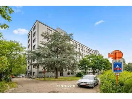 gerenoveerd appartement met zicht op de dijle in leuven