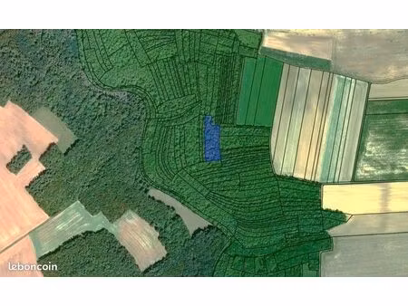 parcelle de bois 0 75 ha – balnot-la-grange