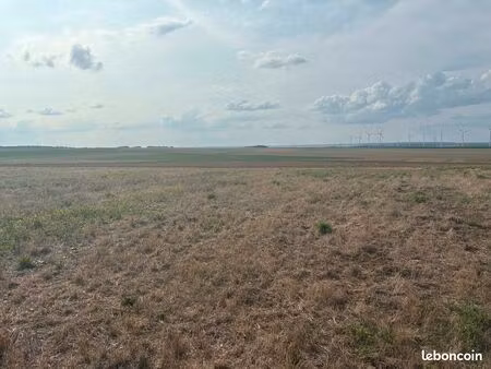 terrain constructible