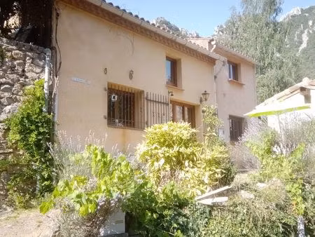 maison individuelle dans la forêt