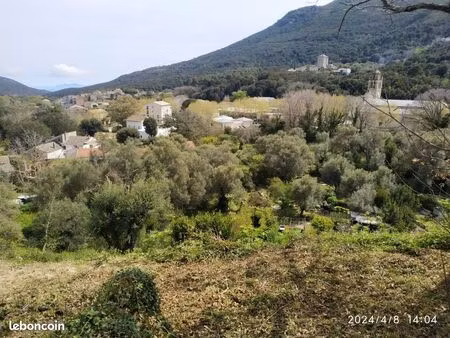 très beau terrain constructible avec certificat d'urbanisme opérationnel sur luri  aperçu 