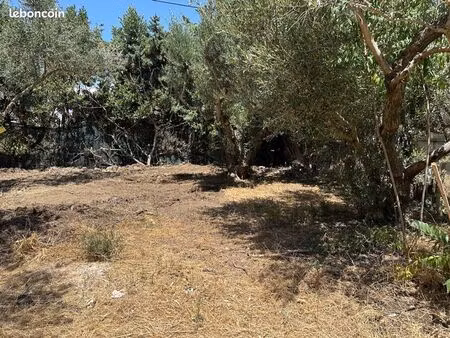 terrain constructible
