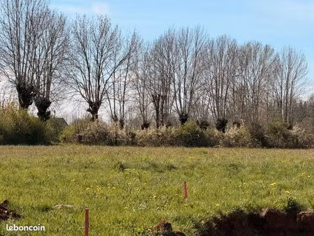 terrain 1 115 m² therondels