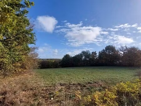 terrain 4 368 m² vailhourles