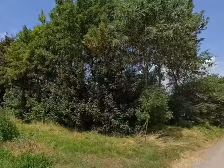 vente terrain 913 m² à rumilly-en-cambresis (59281)  54 800 €