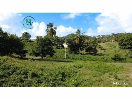 terrain 1 241 m² le vauclin