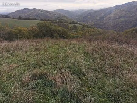 très grand terrain 7 5 hectares prairie  forêts  source et ruine  idéal projet autonomie