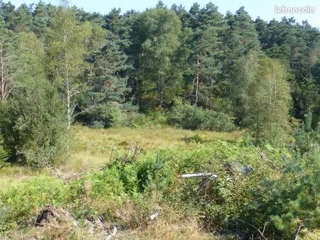 terrain plateau des mille vaches