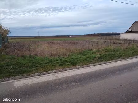 terrain constructible