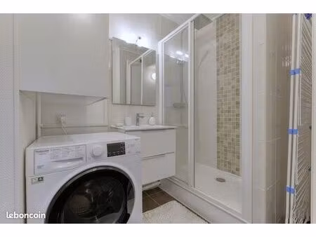 appartement 45m2 de style  mélange d'élégance et de confort