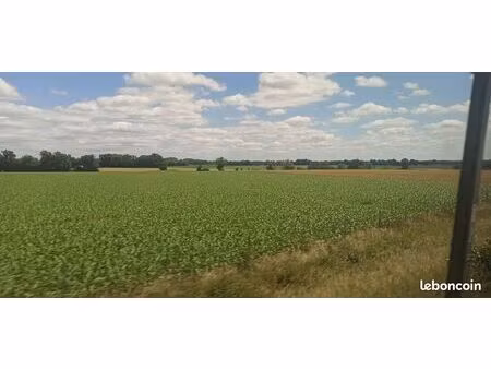 recherche terrain agricole