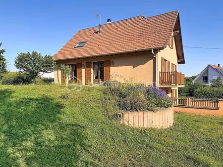 grande maison au calme avec jardin
