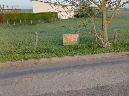 grand terrain constructible