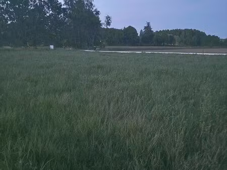 terrain constructible