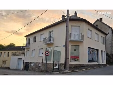 maison de 300m2 avec 2 appartements