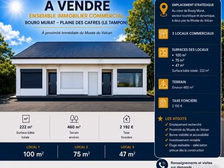 locaux commerciaux tampon bourg murat proche musée du volcan
