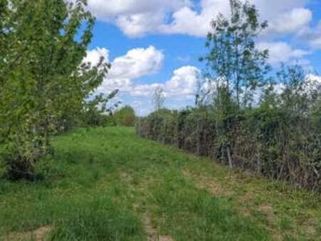 vente terrain à lozay (17330) : à vendre / 2072m² lozay