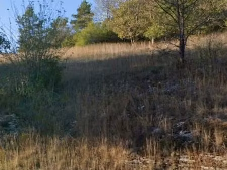 terrain à truffes