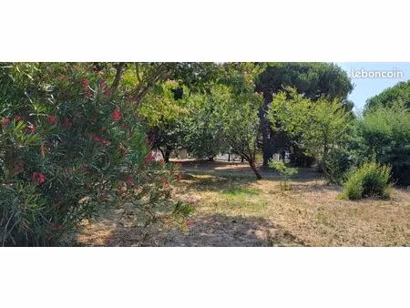 terrain constructible arboré - île d'oléron - 815 m²