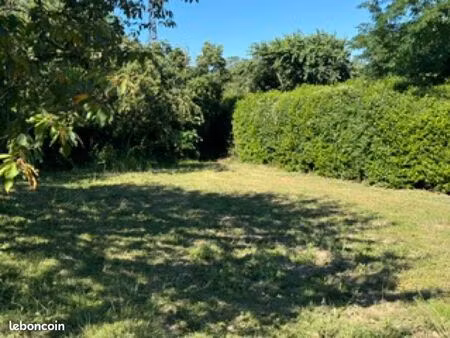 à vendre terrain viabilisé de 1300 m2 à château neuf du rhône
