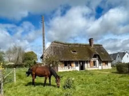 maison chaumière campigny 70m2