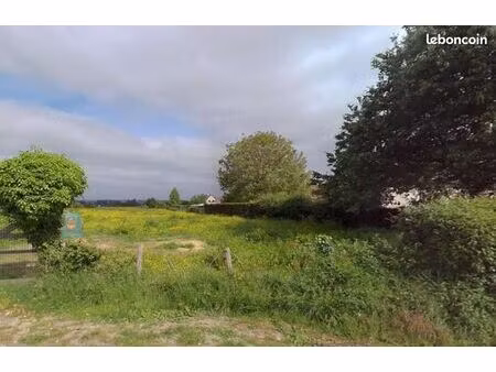 terrain 608 m² saint pierre des fleurs