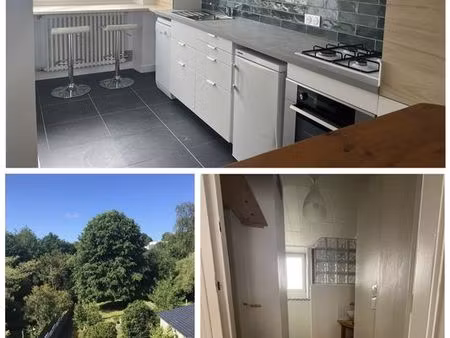 appartement meublé - 63m² avec jardin - recouvrance