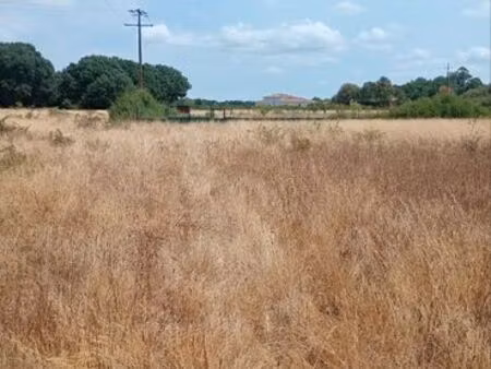 2 terain agricole