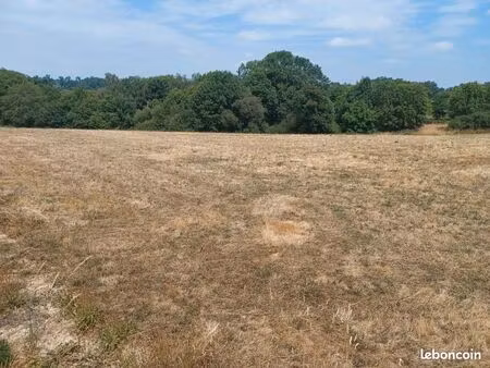 5 terrains la serre de villeneuve de rivière 1750m2 chacun