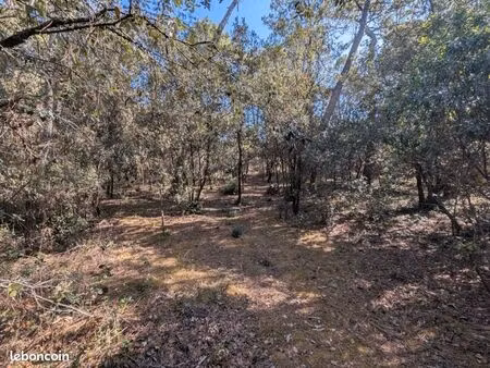 terrain 1 550 m² la palmyre