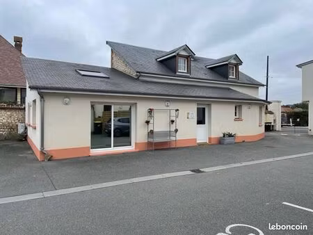 vente local professionnel 100m2
